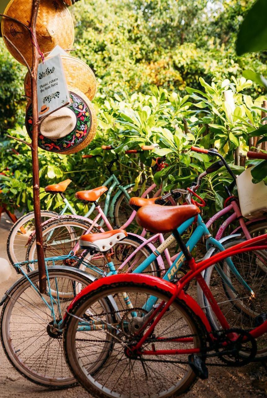 Casa Noma-Noma Holbox Bed & Breakfast Eksteriør bilde